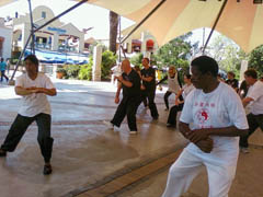 Cansa Marathon Tai Chi 2010 Johannesburg