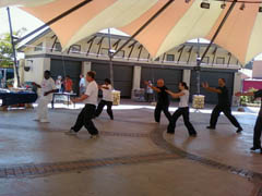 Cansa Marathon Tai Chi 2010 Johannesburg