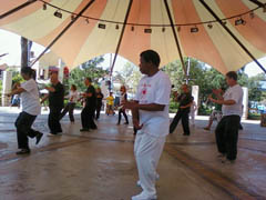 Cansa Marathon Tai Chi 2010 Johannesburg