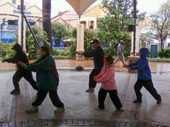 World Tai Chi Day 2010 South Africa