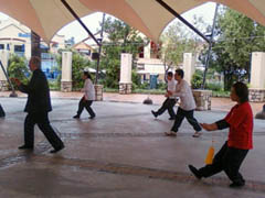 World Tai Chi Day 2010 Johannesburg