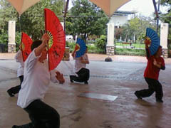 World Tai Chi Day 2010 South Africa