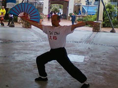 World Tai Chi Day 2010 South Africa