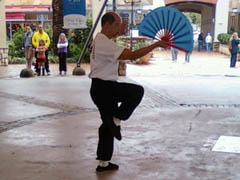 World Tai Chi Day 2010 Johannesburg