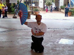 World Tai Chi Day 2010 South Africa