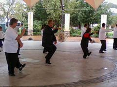 World Tai Chi Day 2010 Johannesburg