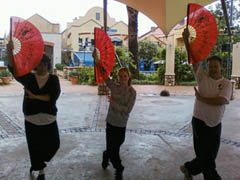 World Tai Chi Day 2010 Johannesburg