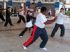 World Tai Chi Day 2010 South Africa