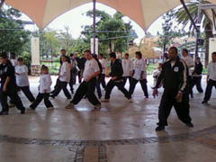 World Tai Chi Day 2010 Johannesburg