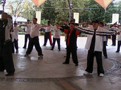 World Tai Chi Day 2010 South Africa