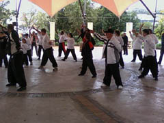 World Tai Chi Day 2010 Johannesburg