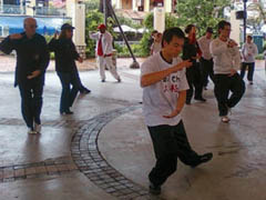 World Tai Chi Day 2010 South Africa