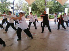 World Tai Chi Day 2010 Johannesburg