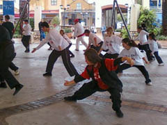 World Tai Chi Day 2010 Johannesburg