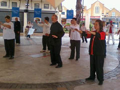 World Tai Chi Day 2010 South Africa